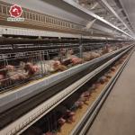 Battery Layer Eggs Chicken Cages H Type Hens Cold Dipped 7Tiers