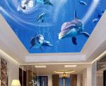 Custom Stretch PVC Ceiling Film