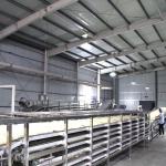 8t/8H Ramen Noodle Equipment Ripen Fresh Noodle Production 50KW
