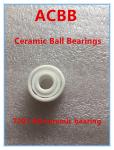 7201 All-ceramic bearing
