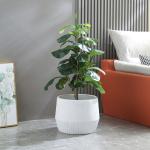 Smooth Surface Fiber Clay Planters In Outdoor Space