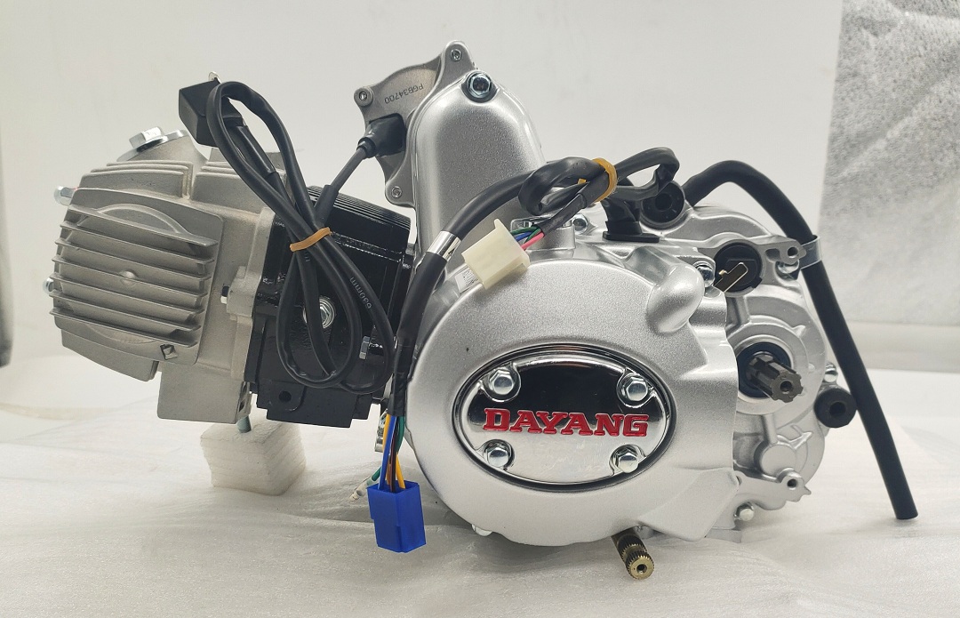 Complete Motorcycle Nature 110CC Engine Cylinder Style A Class Origin Ignition CCC