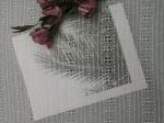 100 Yards Silk Embroidered Eyelet Fabric
