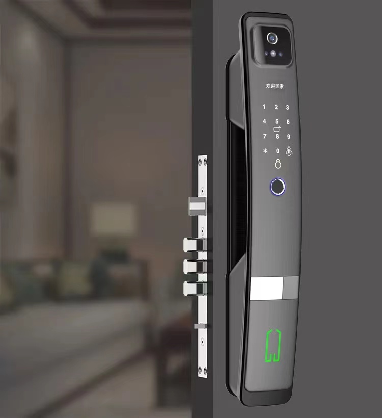 Aluminum Alloy Smart Door Lock Unlock with Tuya Face Password Fingerprint Card and Key