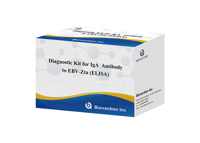 Diagnostic Kit For IgA Antibody To EBV-Zta ELISA TEST KIT Immunosorbent Assay Test Kit