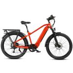 Multifunctional Lithium Battery Assist Ebike 500w 48v 10.4A Electric Mountain