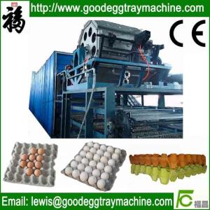 Quality Egg Tray/Fruit Tray/Cup Holder Machine wholesale