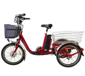 Quality 36V 250W 350W Adult Folding Electric Trike 20 Inch Electric 3 Wheel Cargo Bike wholesale