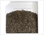 China Tea Gunpowder 9375A For Uzbekistan