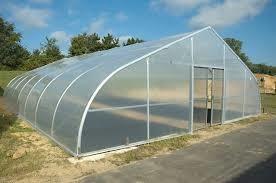 Quality Vegetable Tunnel Plastic Film Greenhouse Single Span Hot Dip Galvanized wholesale