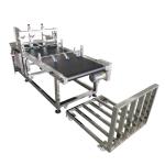 Horizontal Carton Corrugated Carton Feeder Machine Stainless Steel