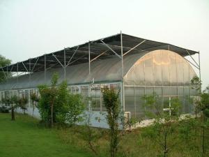 Quality Vegetable Single Span Greenhouse , Gothic Arch Greenhouse Low Thermal Conductivity wholesale