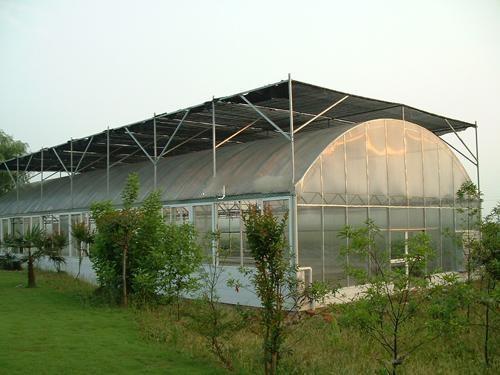 Vegetable Single Span Greenhouse , Gothic Arch Greenhouse Low Thermal Conductivi
