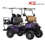 48v 150HA Lithium Battery Electrical Golf Cart Steel Frame Top Speed 35km/H