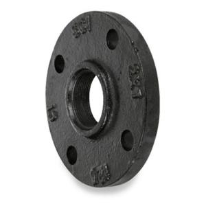 Quality Threaded Flange Pipe Fitting Grey Iron Casting Threaded Companion Flange wholesale