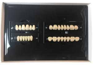 Quality Plastic Polymer Dental Acrylic Resin Teeth A1 A3 2 Layers Dental Composite Resin wholesale
