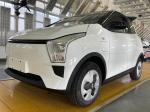 Raysince China Supplier mini electric car Wholesale cheap price 3 doors 4 seats