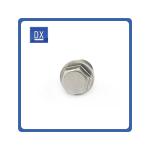 Bolt Screw Hex Screw Plug DIN908 Stainless Steel