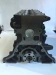 Mitsubishi 4D56 Engine Short Long Cylinder Block Engine Parts