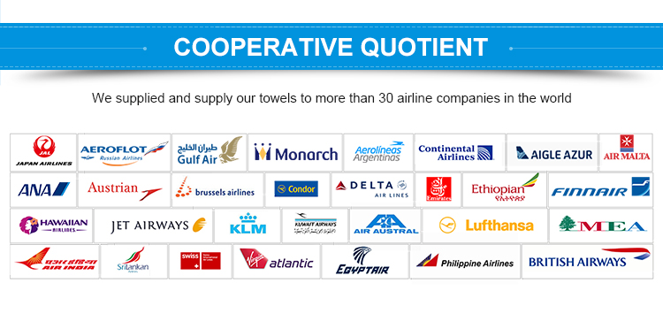 Unisex Square 25cm Airline Plain Towel