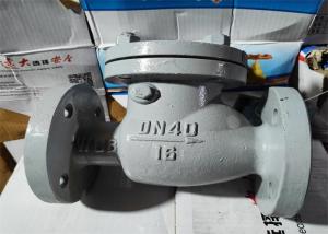 Quality GB Standard Carbon Steel Body Flanged Swing Check Valve Size 80mm wholesale