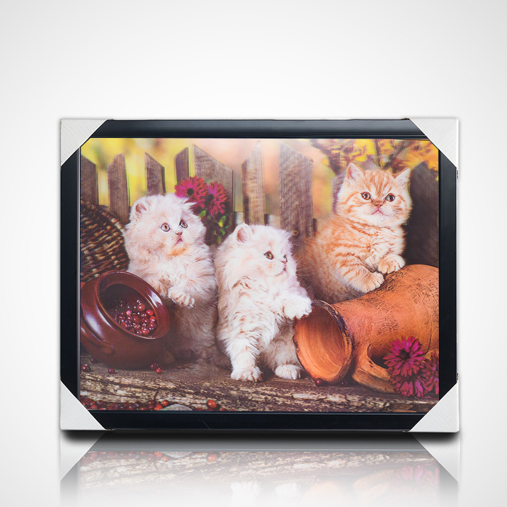 3D Lenticular Painting With Black Frame 40*30cm PET 5D 3D Lenticular Picture Frames Artwork Modern Pictures