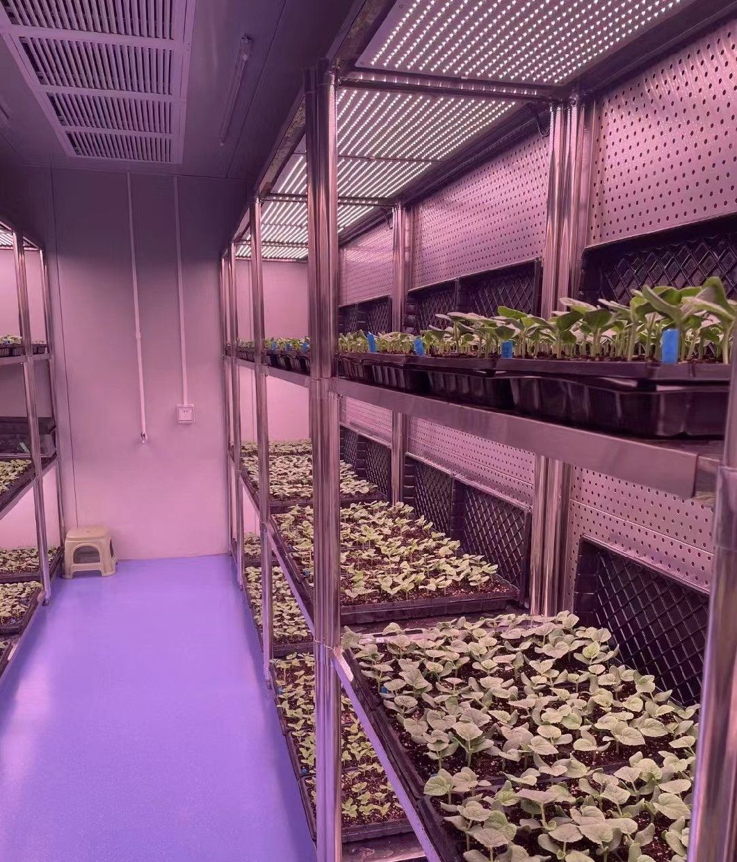 Hydroponic Vertical Farming Container System 40FT Container Farm Greenhouse