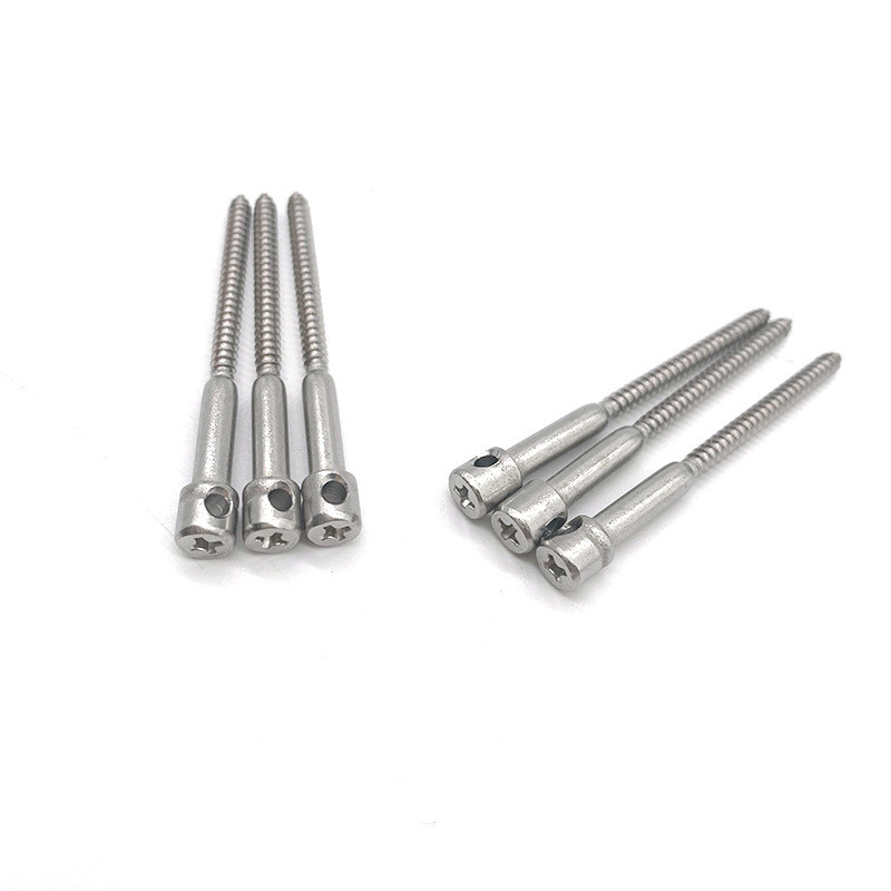 Drilled Head Sealing Electric Meter Screw For Watthour Meters