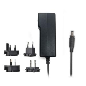 China Ac/Dc 12v Interchangeable Switching Mode Power Adapter 4 Feet DC Cable on sale