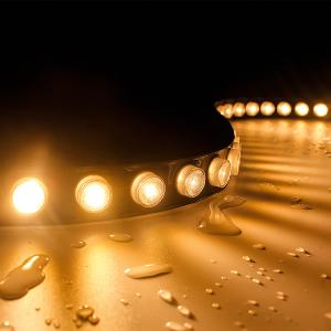 Quality DMX 5050 RGB LED Strip FPC Waterproof IP67 15X45DEG Lens 100W/ Roll wholesale