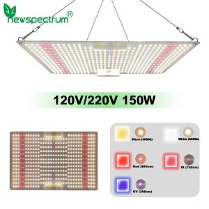 Quality LED Indoor Grow Lights 650W 5000K Energy Saving For Plants Flowers wholesale