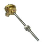 WRET-01 Compression Spring Fixed Thermocouple