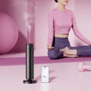 Quality Wireless Commercial Scent Diffuser Machine – 100ml Essential Oil Dispenser for Restaurants/Gyms wholesale