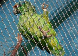 Quality Ferruled Stainless Steel Bird Aviary Wire Mesh Netting wholesale