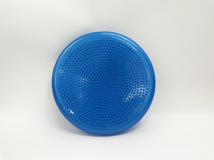 Exercise Balance Stability Disc with Hand Pump