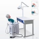 School Ultraportable Dental Phantom Head , Removable Dental Simulation Unit