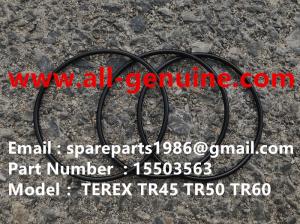 Quality 15503563 SEAL TEREX NHL TR50 TR60 TR45 TR70 MINING DUMP TRUCK GENUINE wholesale