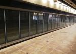 Carel Thermostat Commercial Upright Freezer For Frozen Food