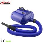 110V Electric Blow Dryer