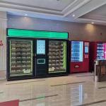 Solar Powered Coin Operated Ice Vending Machine With Fresh 100% Juice