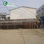 Single-Span Agricultural Greenhouses with Film Cover The Perfect Growing