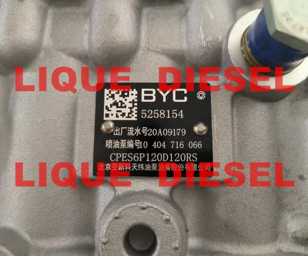 BYC pump 5258154 10404716046 10 404 716 046 CPES6P120D120RS BYC 11 415 186 003