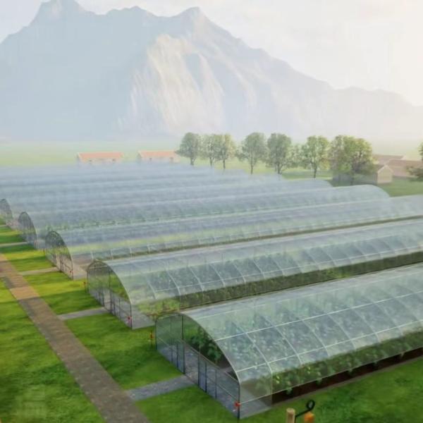 30-Day Return Refunds Greenhouse Hydroponics System Agricultural Tunnel