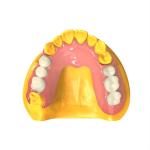 Dental 3D Printing Invisible Denture Base Resin