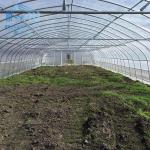 Fruit And Veggies PE Film Greenhouse Single Polyethylene Film Greenhouse