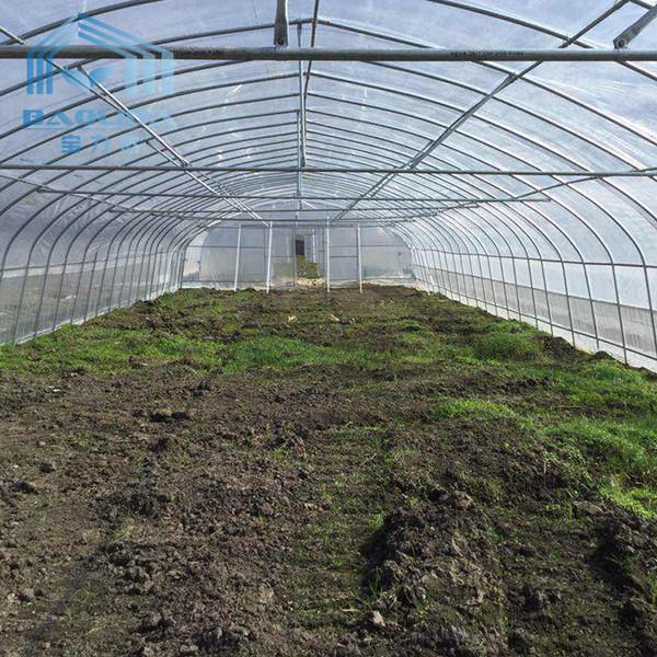 Philippines Prefabricated Kit single-span Strawberry Greenhouse Tunnel Plastic