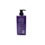 Promotional Personal Care Toiletries Bath Shower Gel Bottle With Pump