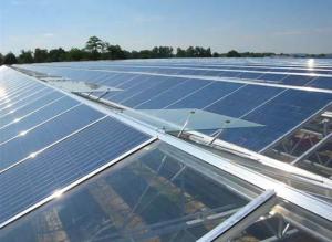 Quality Photovoltaic Greenhouse wholesale