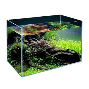 Quality Customizable Laminated Glass Fish Tank the Ultimate Decorative Choice for Dining wholesale