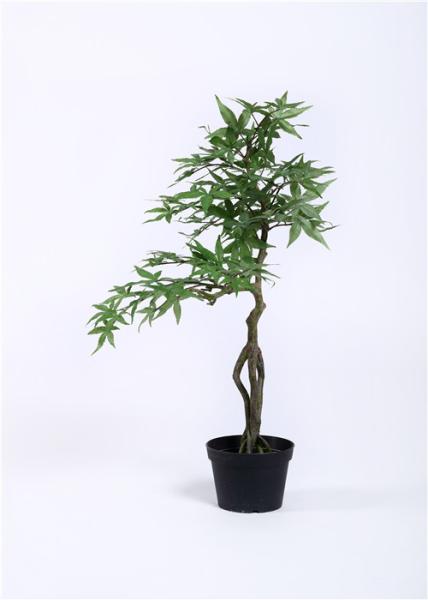Acrylic Paints Preserved Bonsai Tree Interior Landscaping Environmental